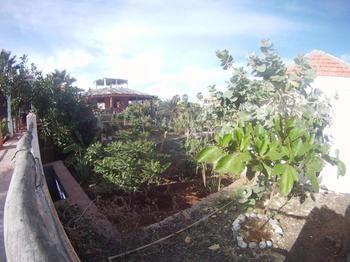 Villa Morgana Cape Verde Resort Calheta Dış mekan fotoğraf